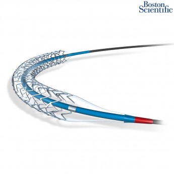 Коронарный стент BOSTON SCIENTIFIC Promus PREMIER эверолимус 81 мкм